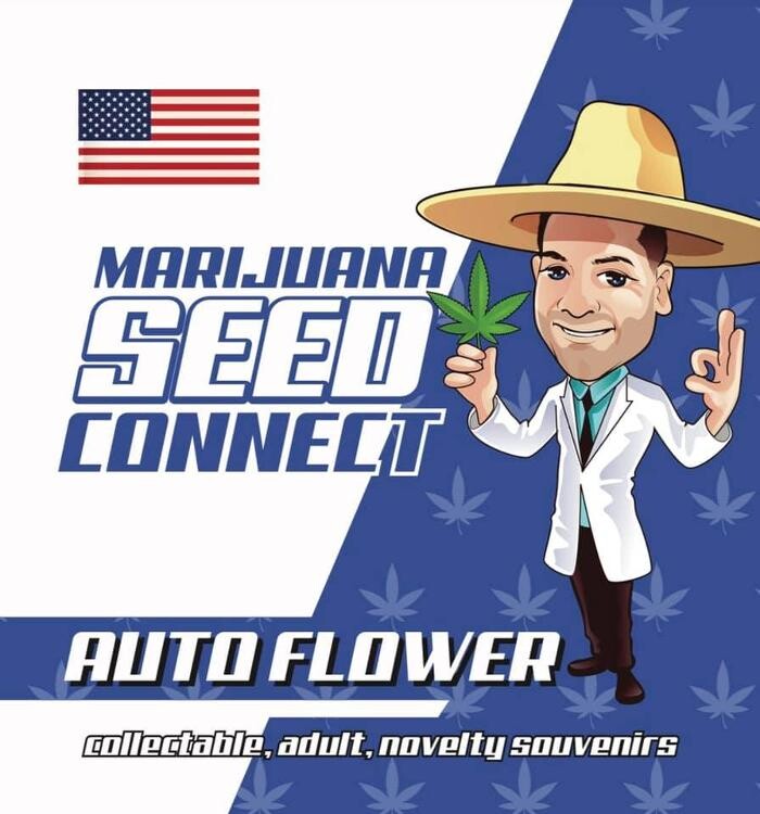 Images Seed Connect