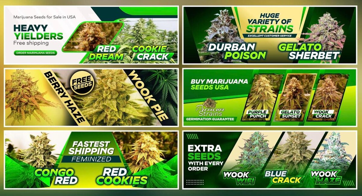 Images Seed Connect