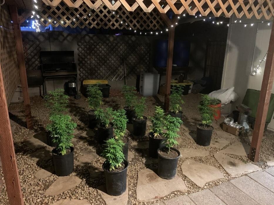 Images Seed Connect