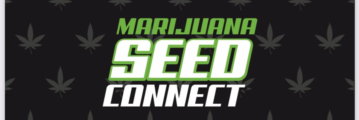 Images Seed Connect