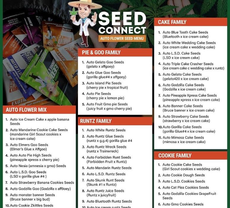 Images Seed Connect