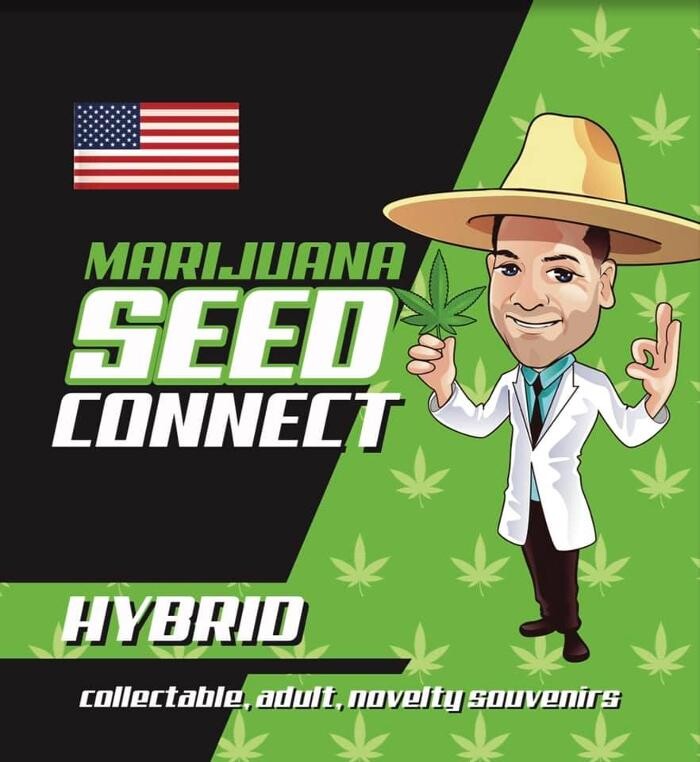 Images Seed Connect