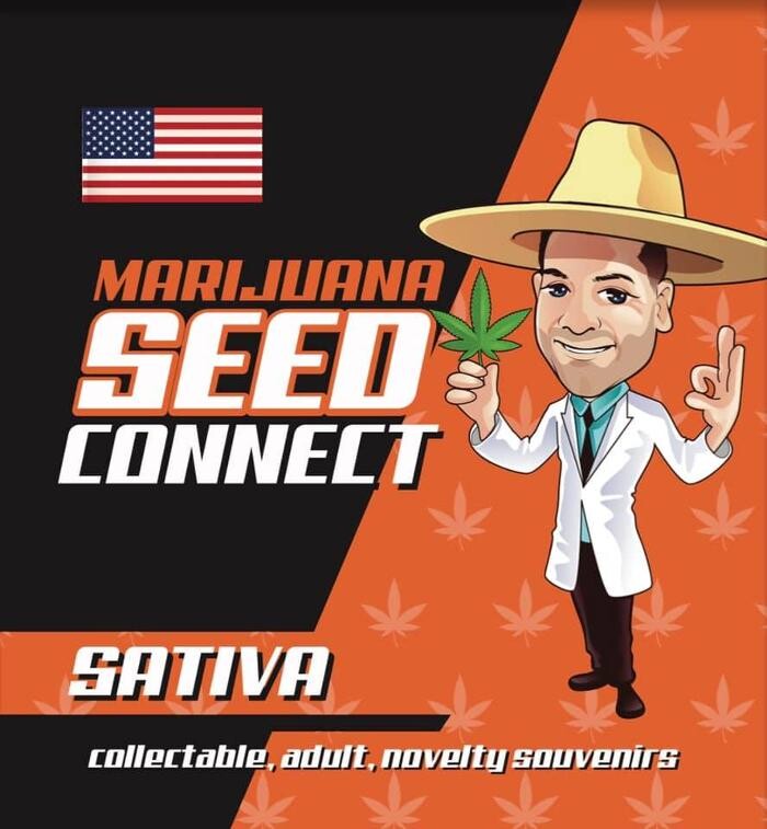 Images Seed Connect