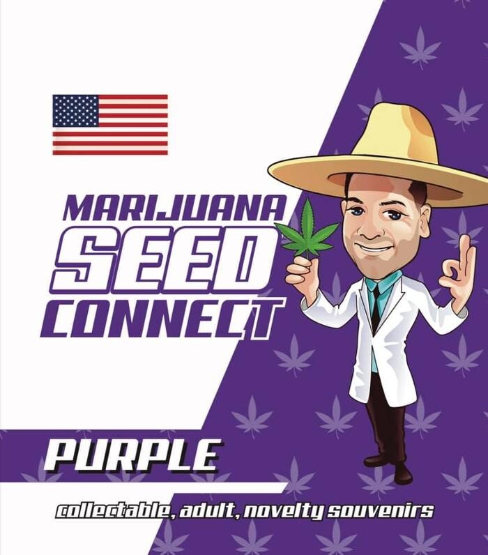 Images Seed Connect
