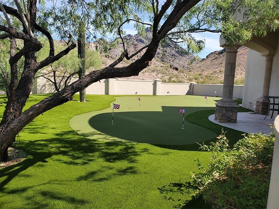 Images Las Vegas Artificial Lawns
