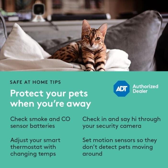 Images Bulldog Security Services, ADT Authorized Dealer
