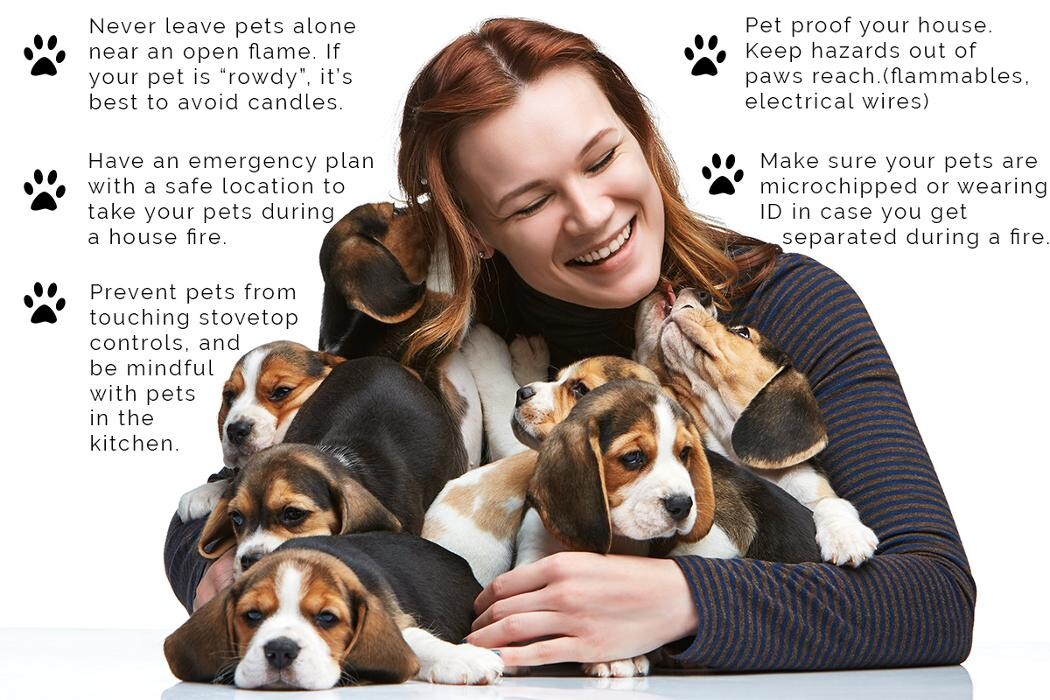 Images Bulldog Security Services, ADT Authorized Dealer