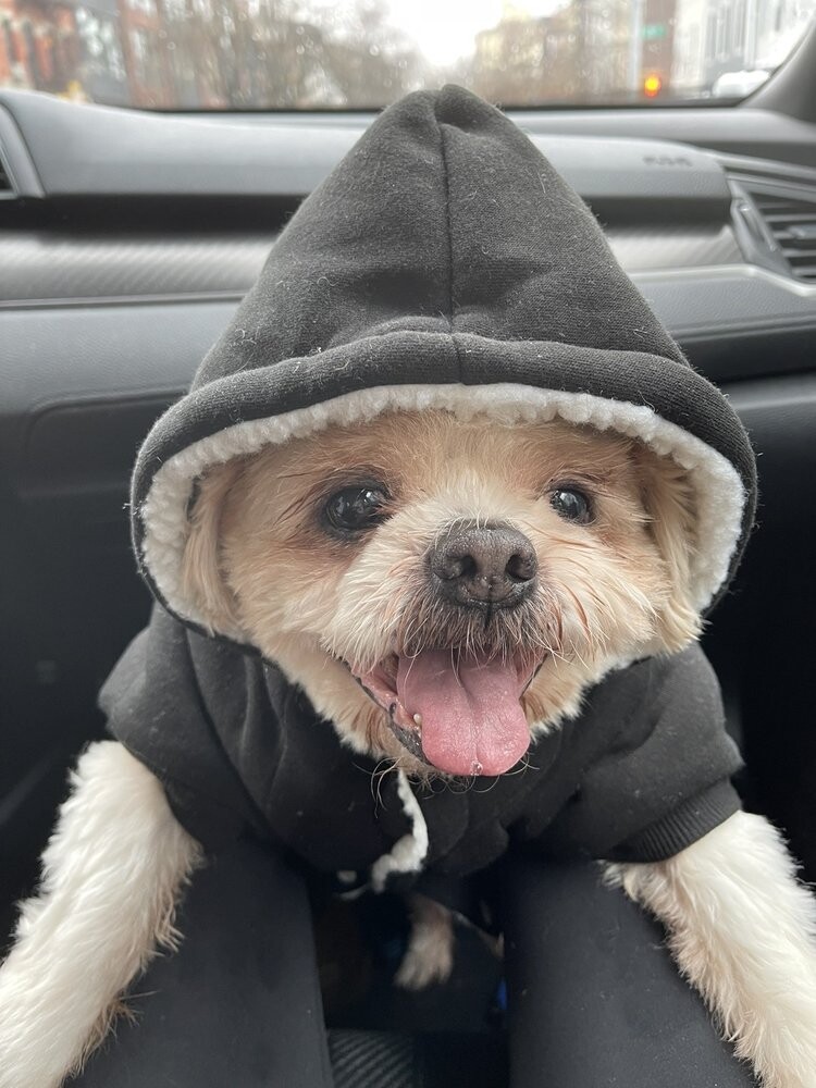 Images Call Ahead Veterinary