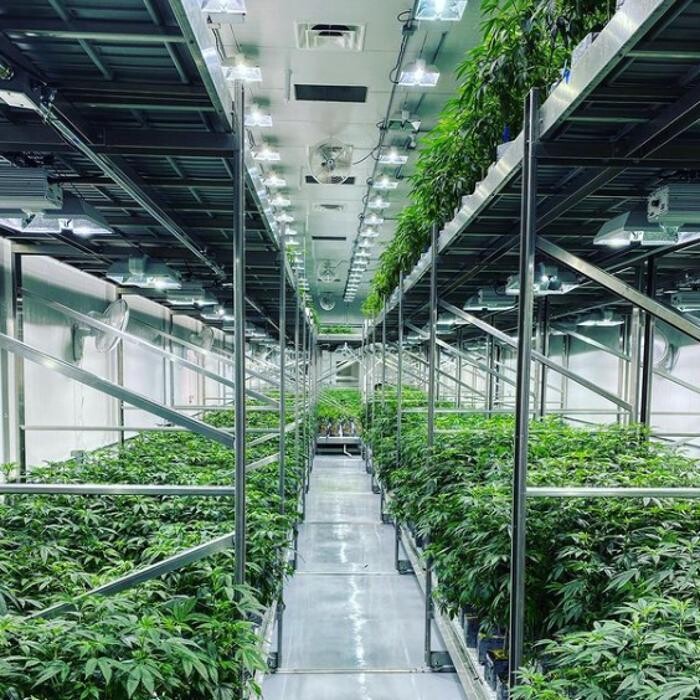 Images Traditional DTLA - Cannabis Dispensary