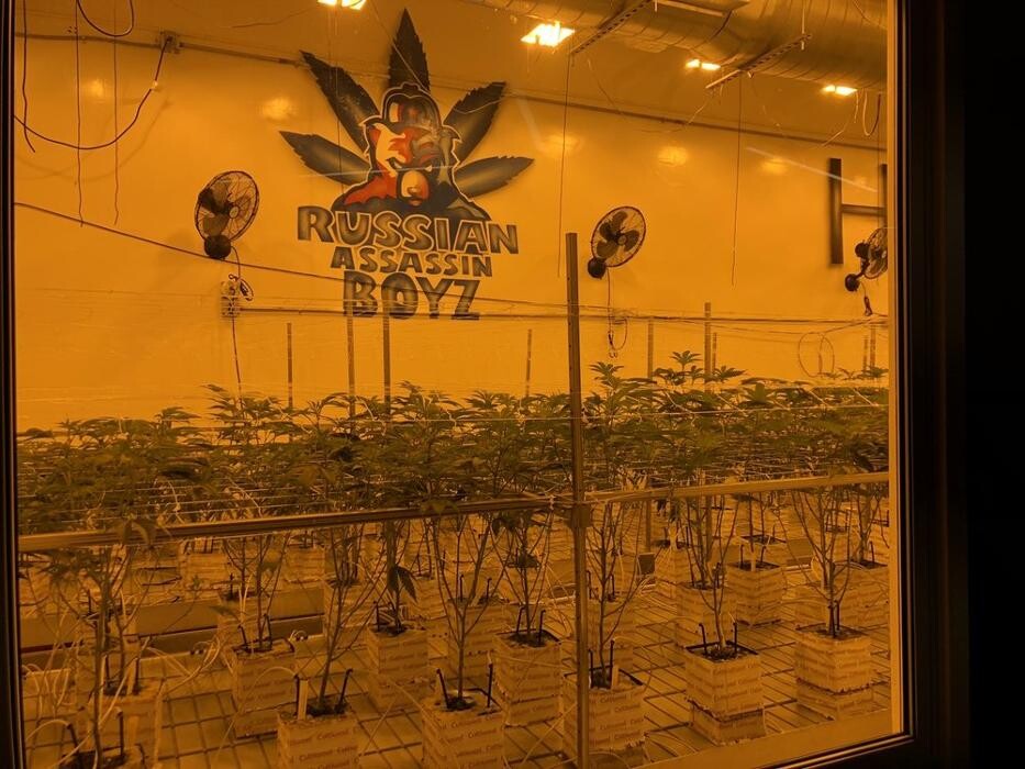 Images Traditional DTLA - Cannabis Dispensary