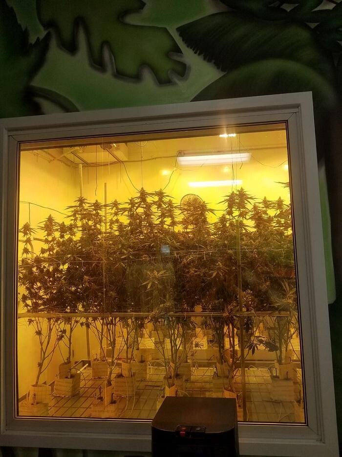 Images Traditional DTLA - Cannabis Dispensary