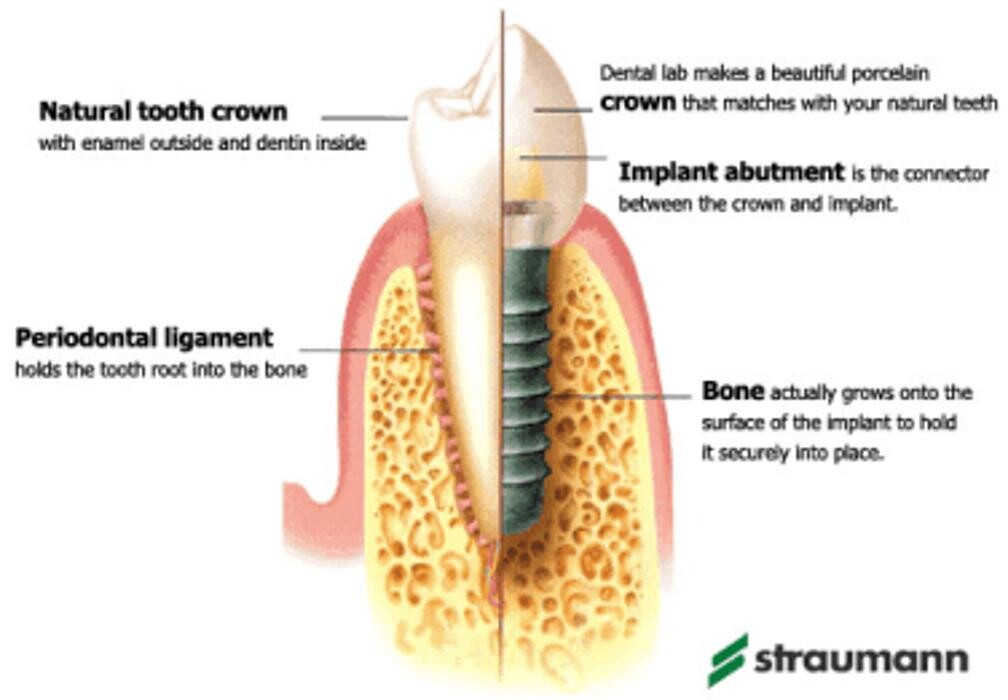 Images Signature Smiles of Park Ridge