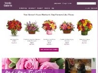 Website Screenshot Verde Galerie