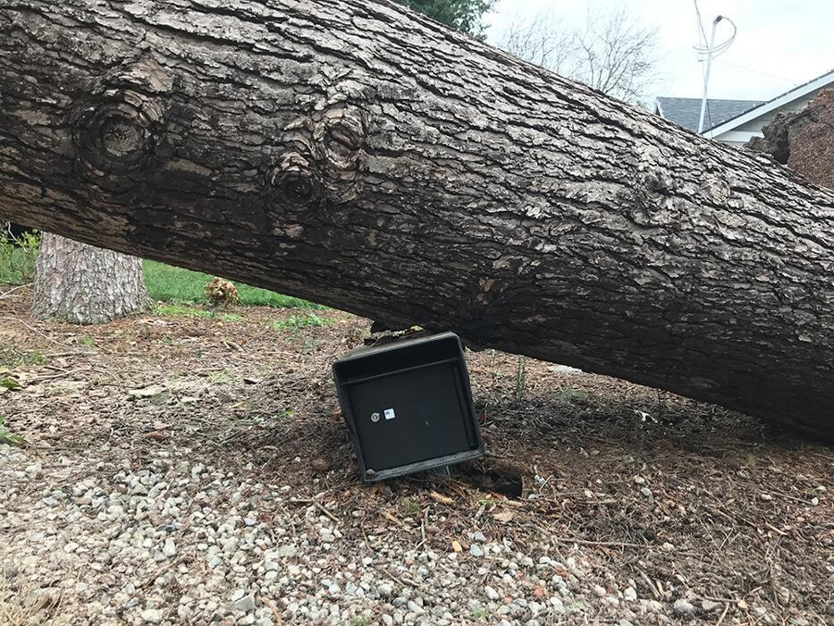 Images Fort Knox Mailbox