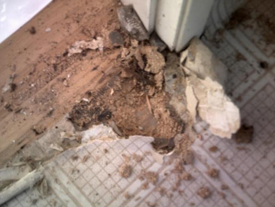 Images Alliance Environmental Group