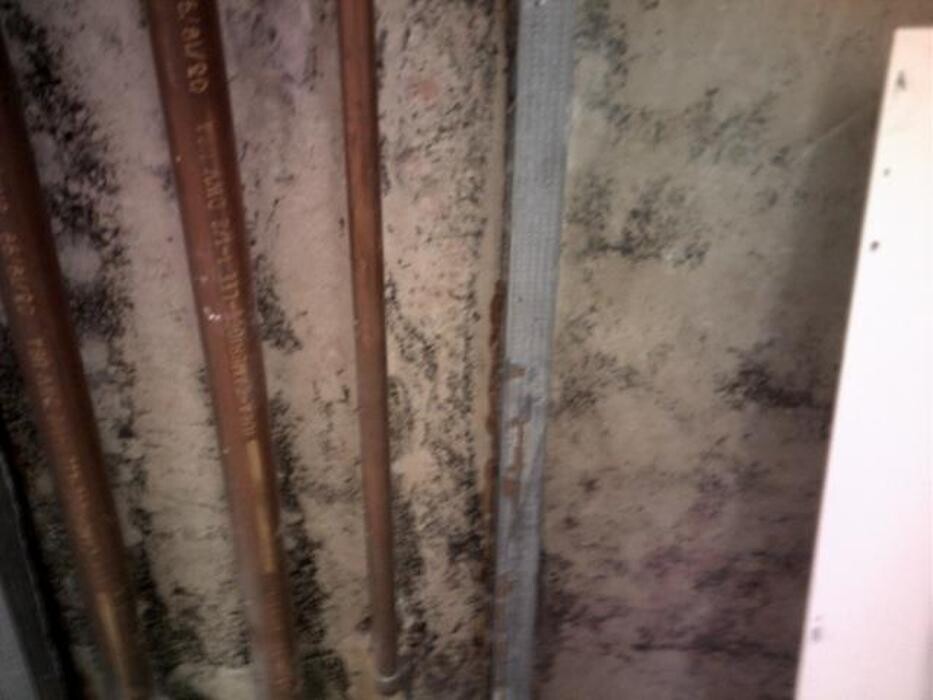 Images Alliance Environmental Group