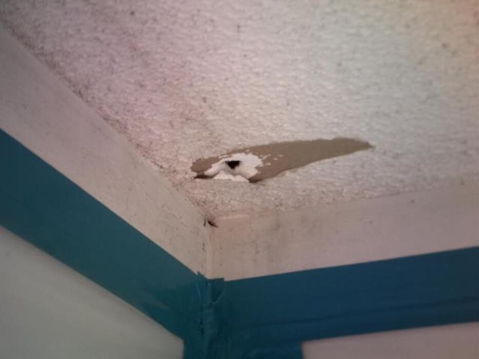 Images Alliance Environmental Group