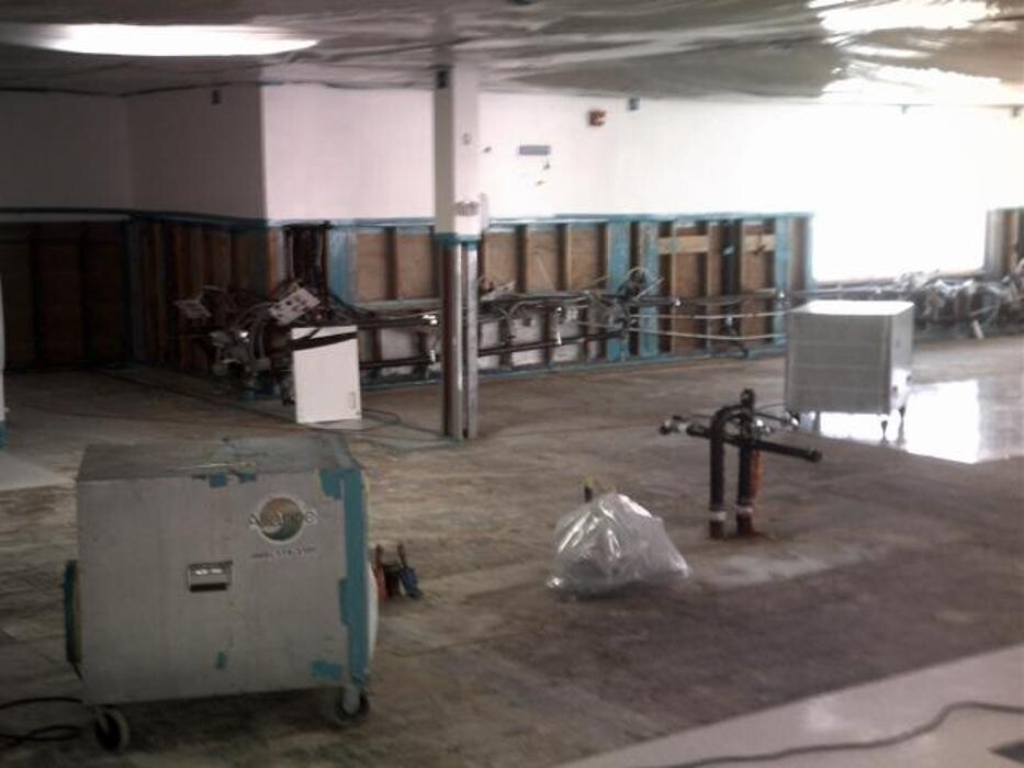 Images Alliance Environmental Group