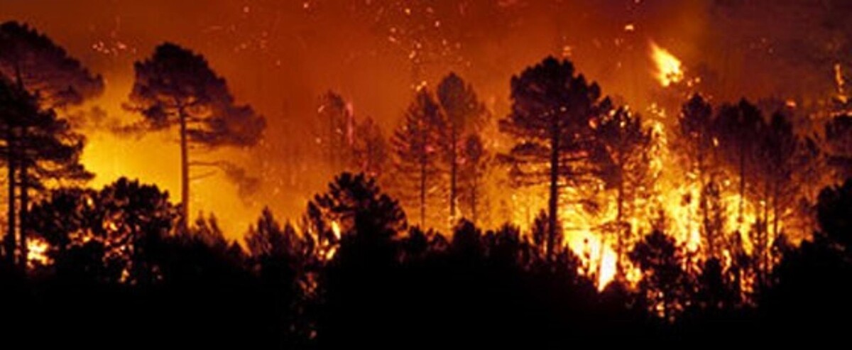 Images Alliance Environmental Group