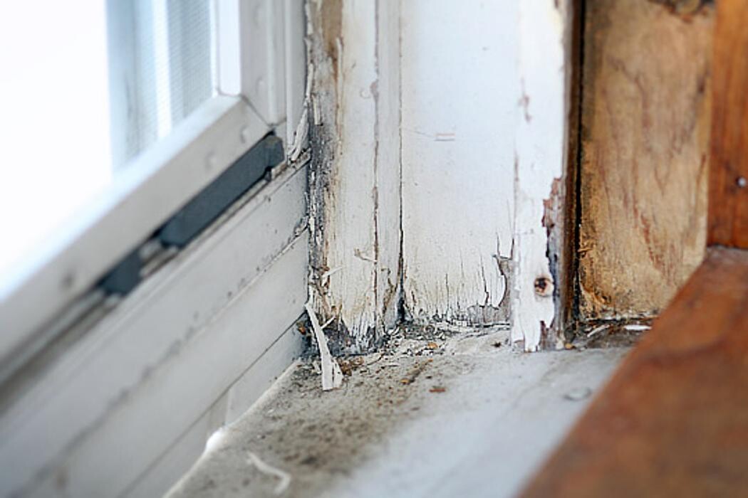 Images Alliance Environmental Group