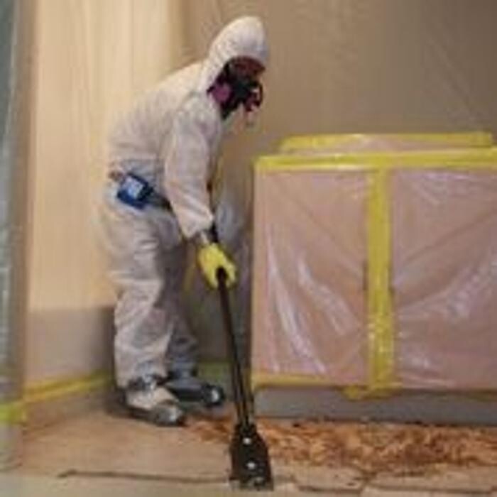 Images Alliance Environmental Group