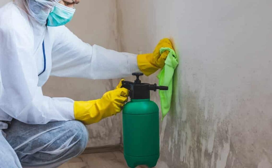 Images Alliance Environmental Group