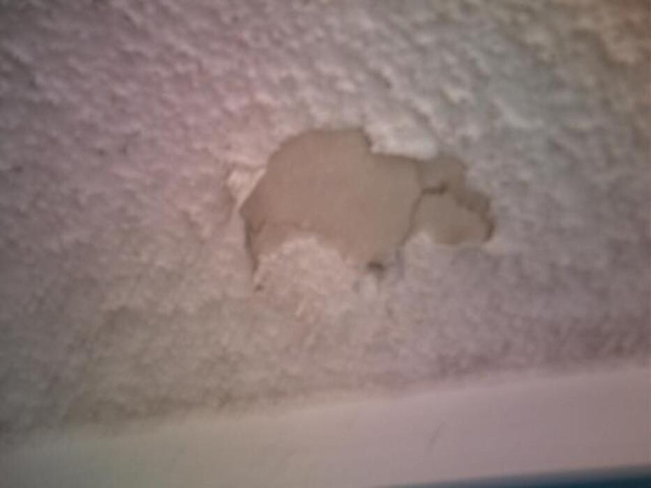 Images Alliance Environmental Group