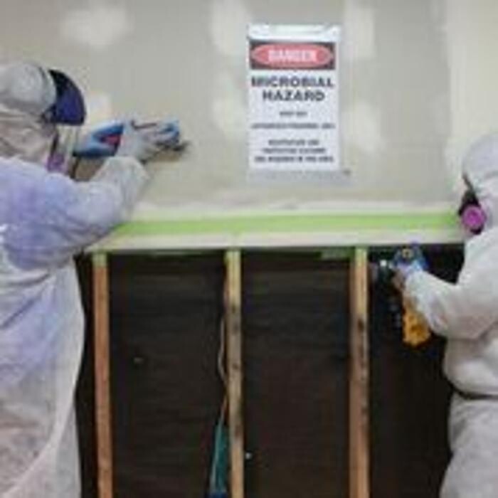 Images Alliance Environmental Group