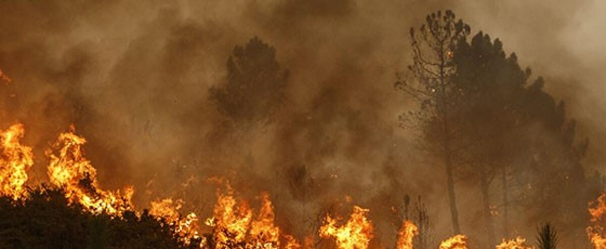 Images Alliance Environmental Group