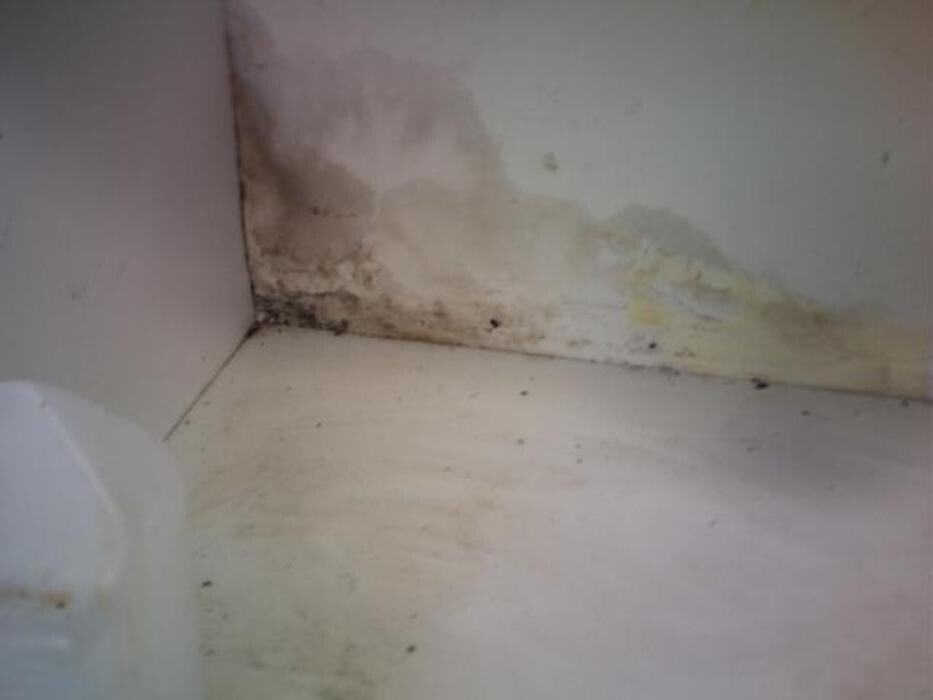 Images Alliance Environmental Group