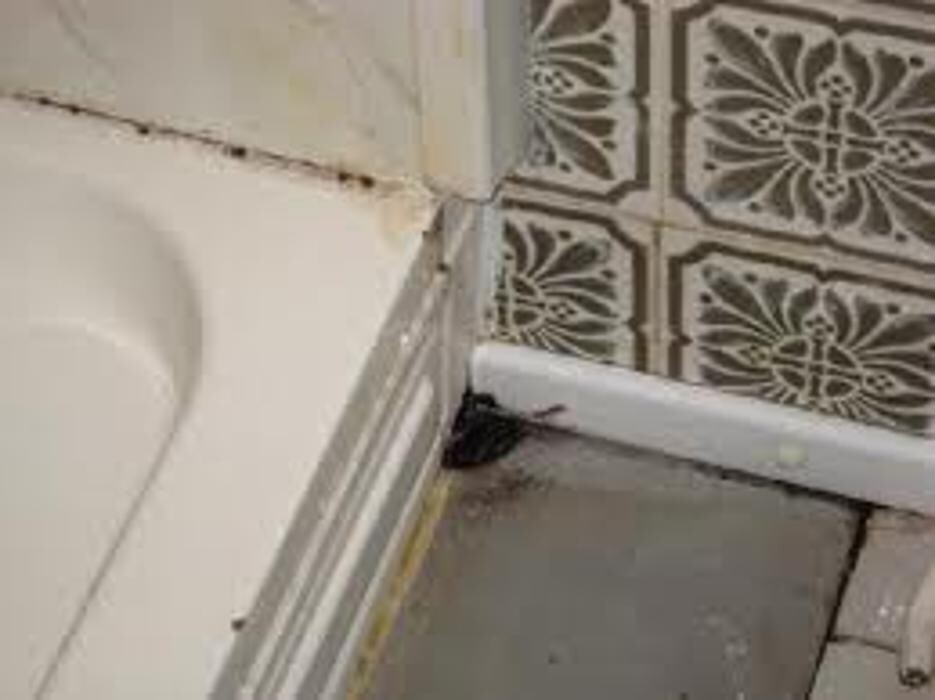 Images Alliance Environmental Group