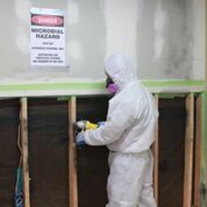 Images Alliance Environmental Group