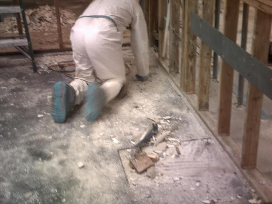 Images Alliance Environmental Group