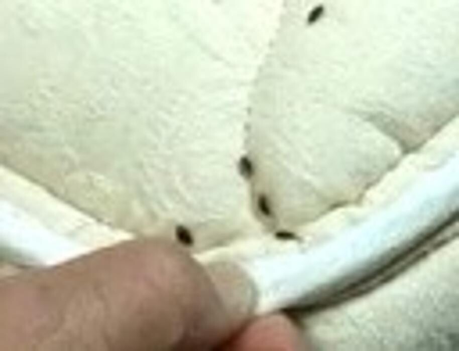 Images Alliance Environmental Group