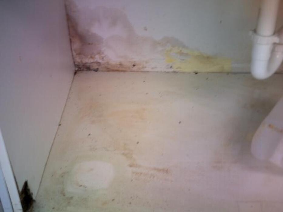 Images Alliance Environmental Group