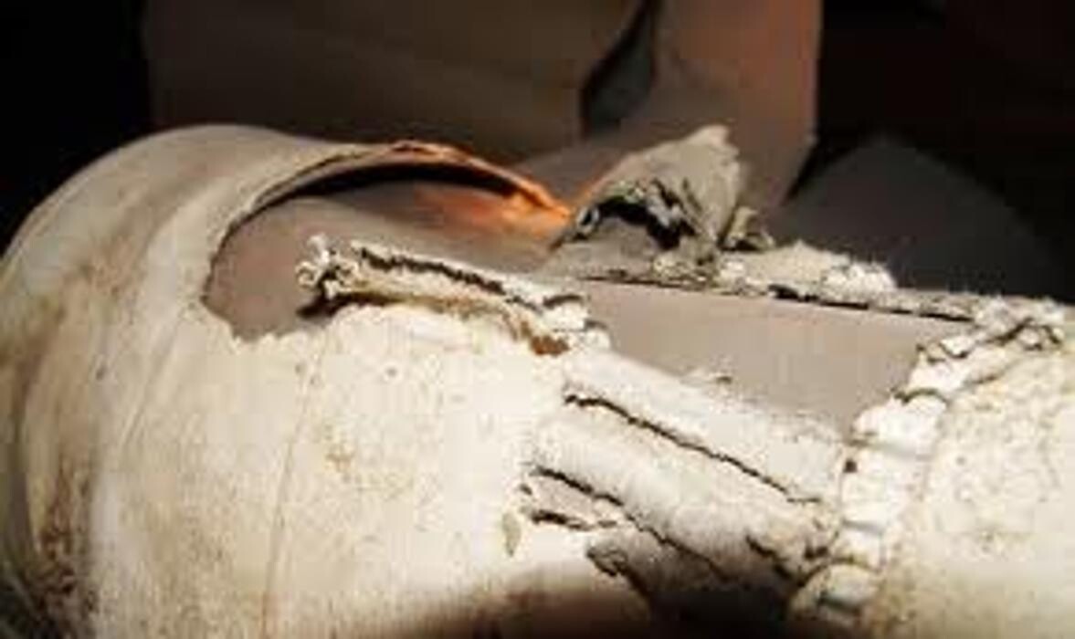 Images Alliance Environmental Group