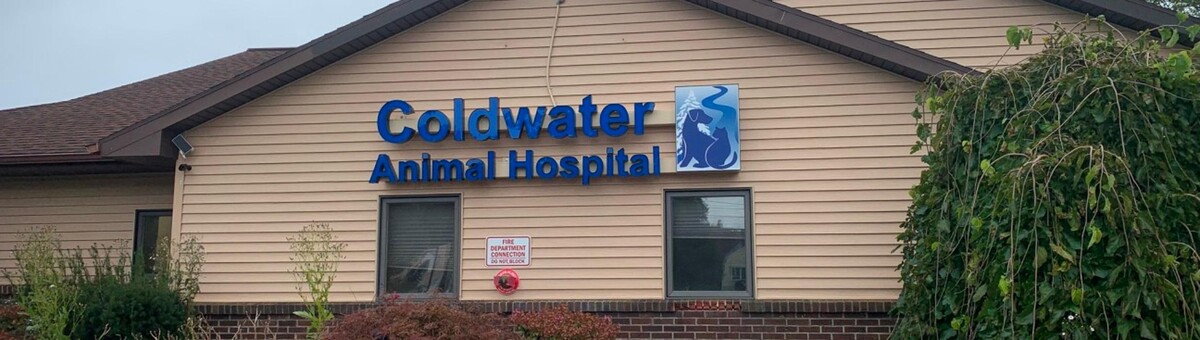 Images Coldwater Animal Hospital