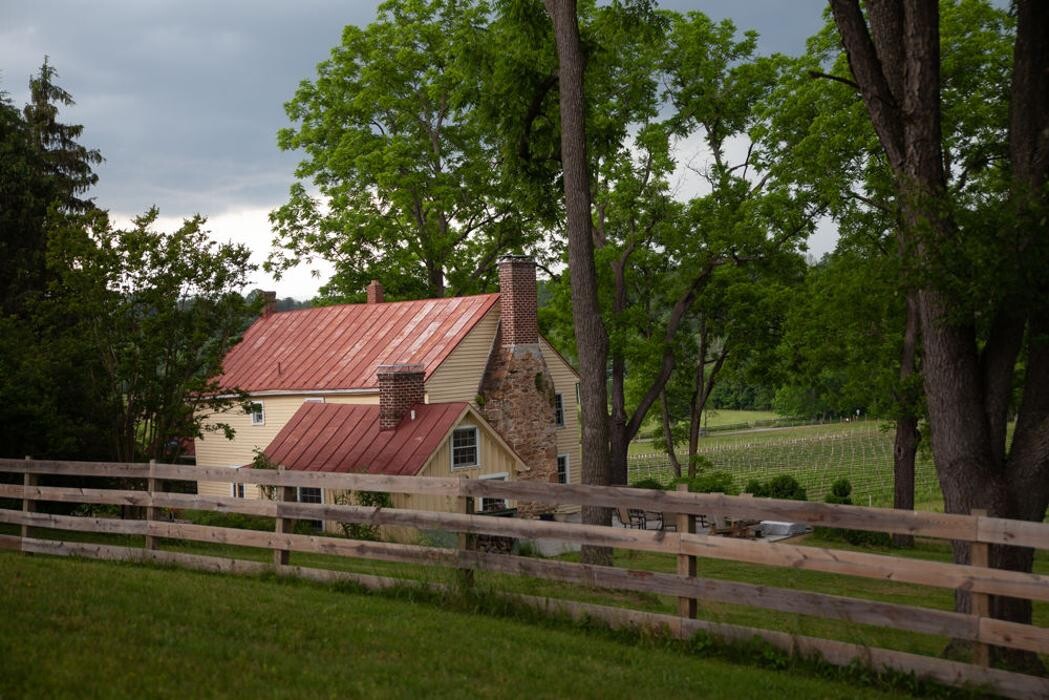 Images Muse Vineyards