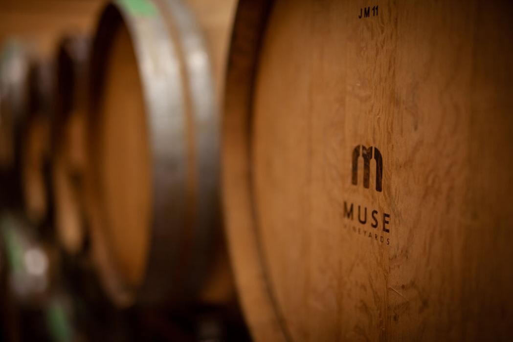 Images Muse Vineyards