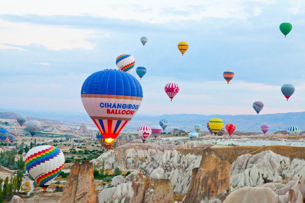 Images Cynthia C. Peterson Photography