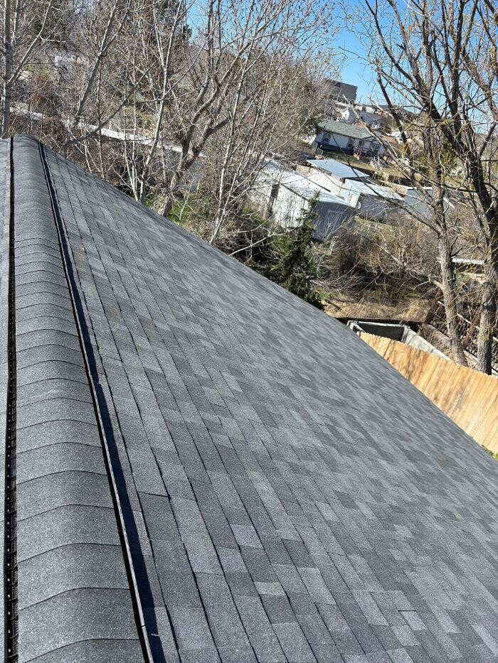 Images Boise Roof