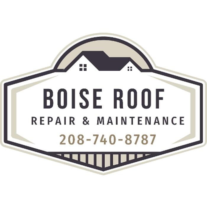 Boise Roof Logo