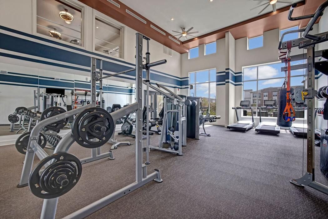 Images Apartments at Eleven240