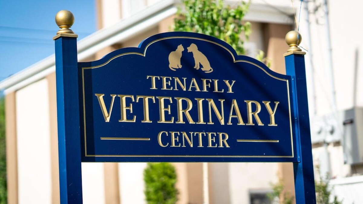 Images Tenafly Veterinary Center