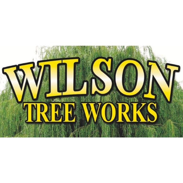 Wilson Tree Works Logo