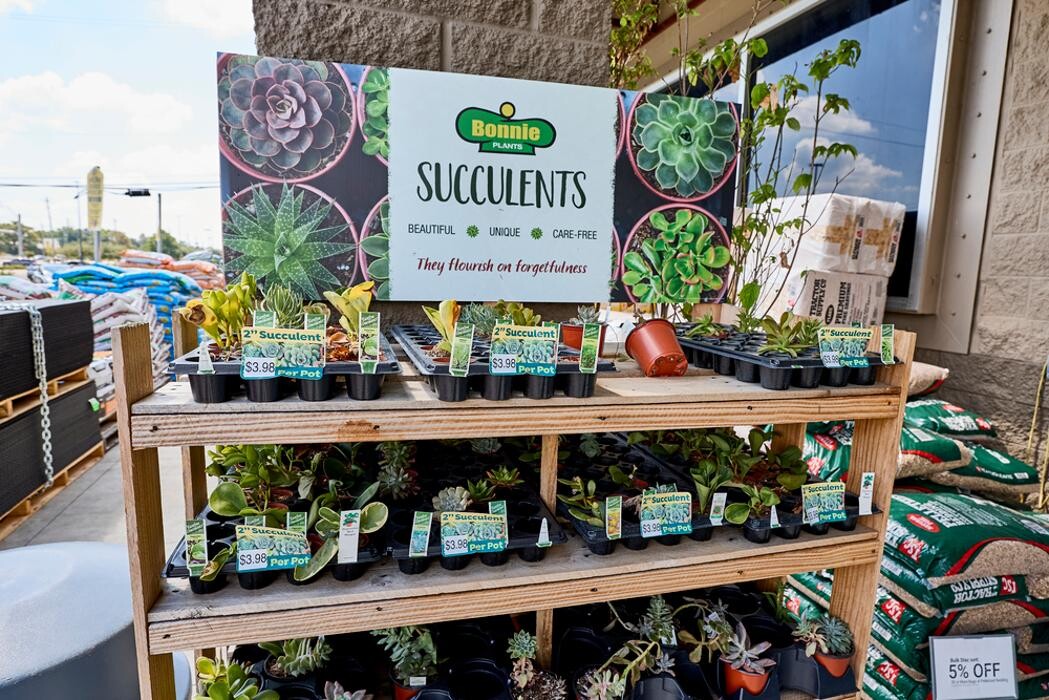 Images Tractor Supply Co.