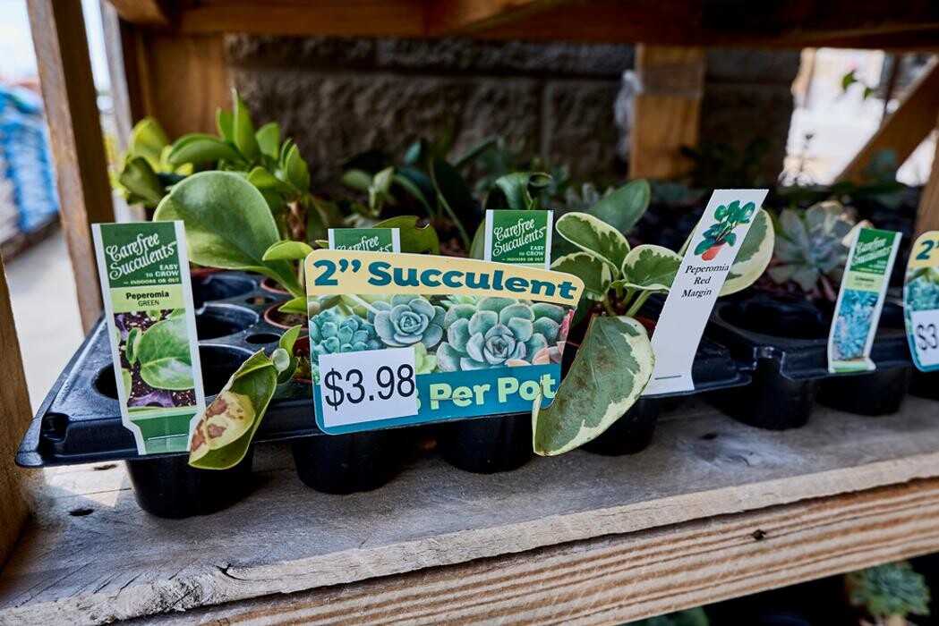 Images Tractor Supply Co.