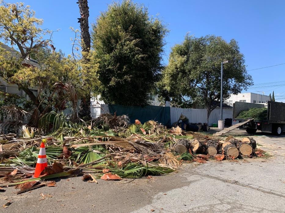 Images Figueroa Landscaping