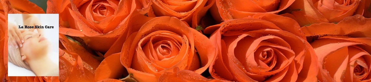 Images La Rose Skin Care Center