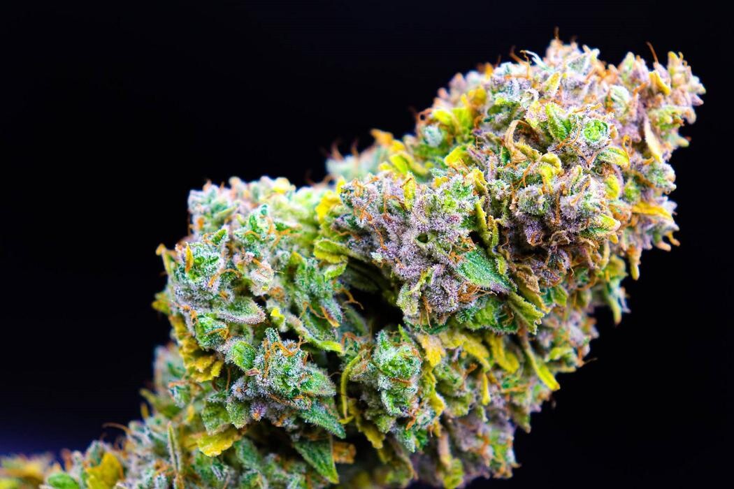 Images NuVue Pharma Dispensary Pueblo North